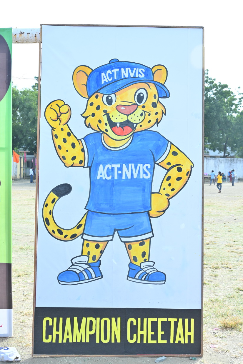 Sports Curriculum